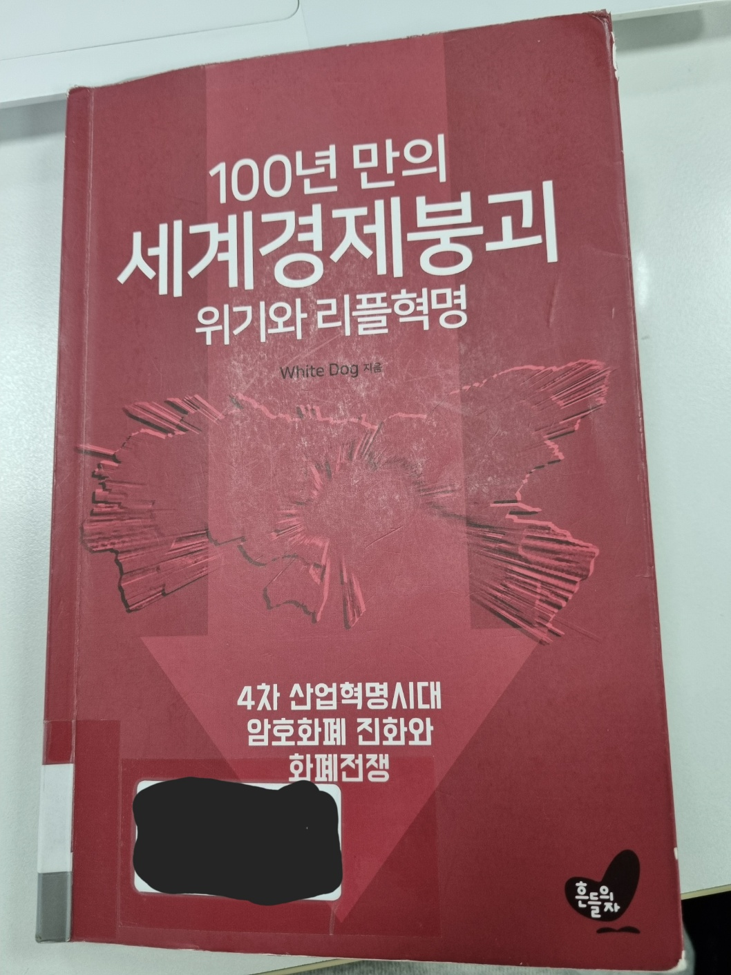 100년 만의 세계경제붕괴 위기와 리플혁명 책 표지
