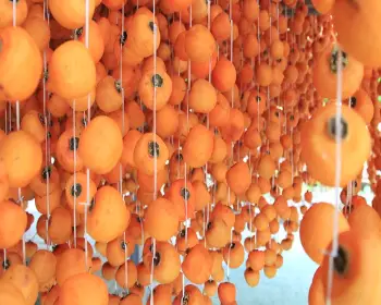 영동 곶감축제_21