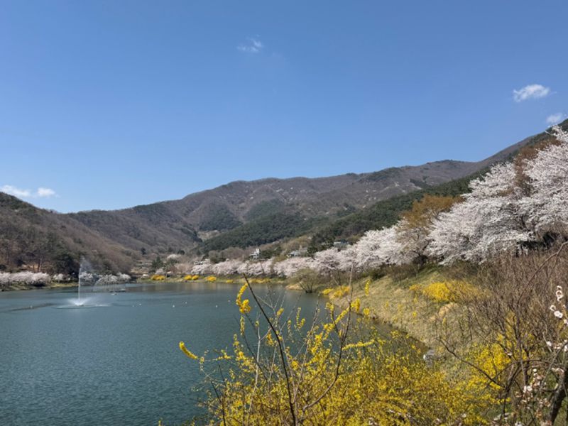 동구리 호수공원