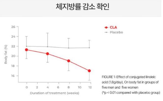 푸응-팻버닝-다이어트-효과