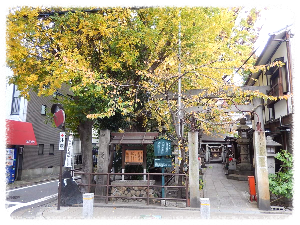 시케미치 거리