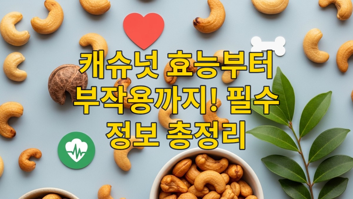 다양한 캐슈넛과 심장, 뼈 모양 아이콘이 어우러진 건강한 구성의 이미지. 캐슈넛의 효능을 시각적으로 강조하며, 건강한 견과류의 이미지를 전달합니다.
