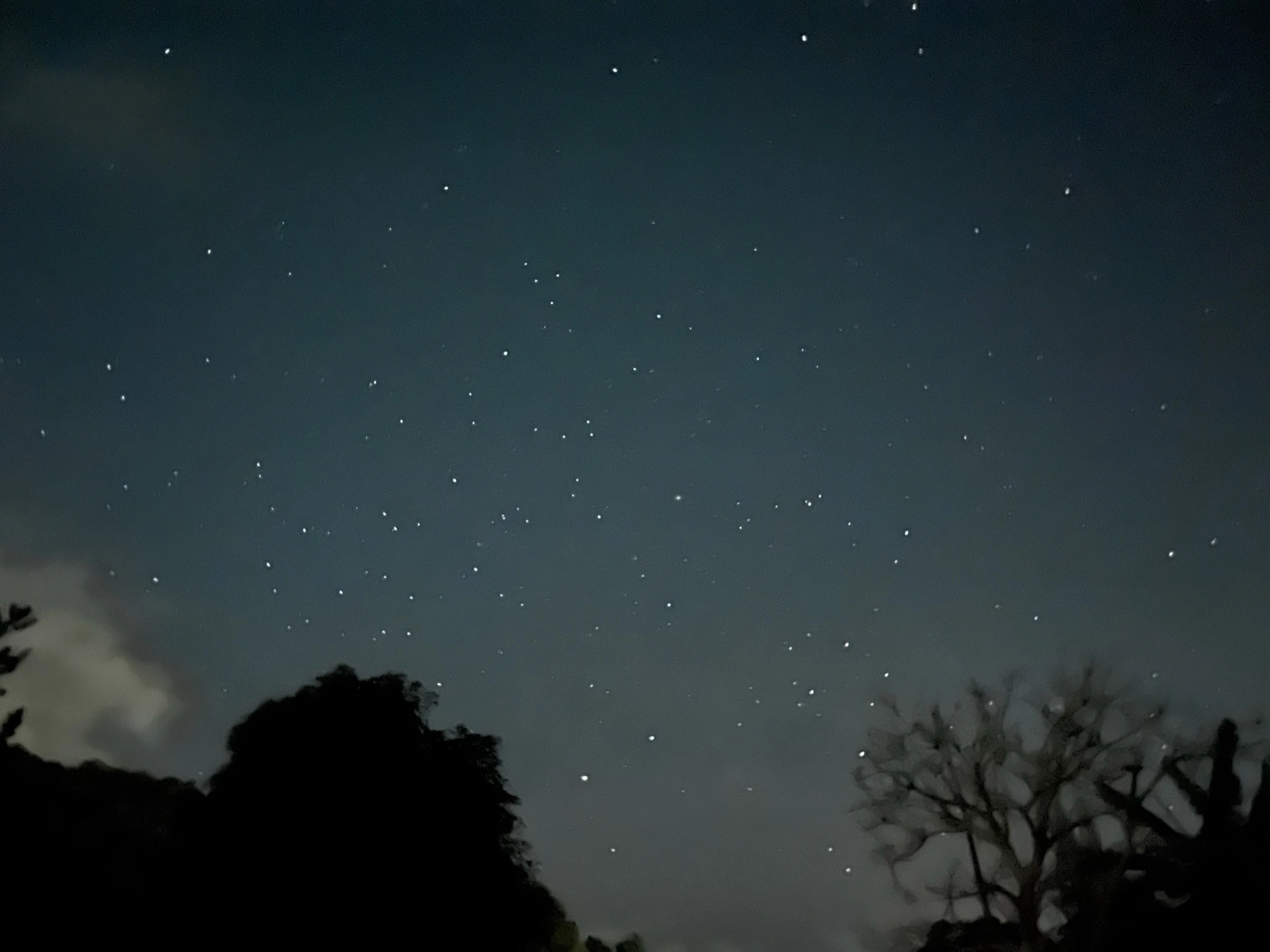 괌 셀프 별빛투어