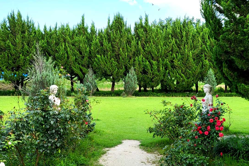 특색있고 아름다운 민간 정원 30선 추천 여행 - 30. 구례 천개의 향나무숲 정원