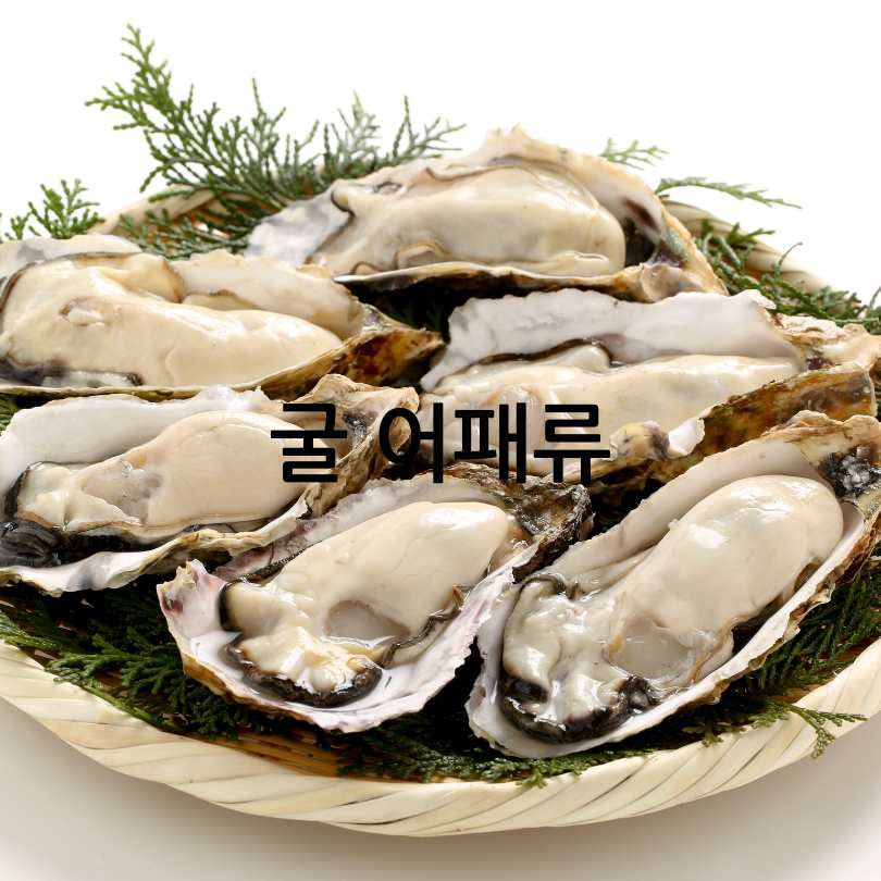 노로바이러스증상