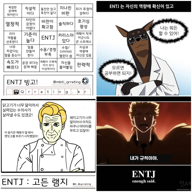 entj 짤 4개
