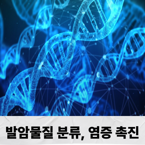염증유발 식품
