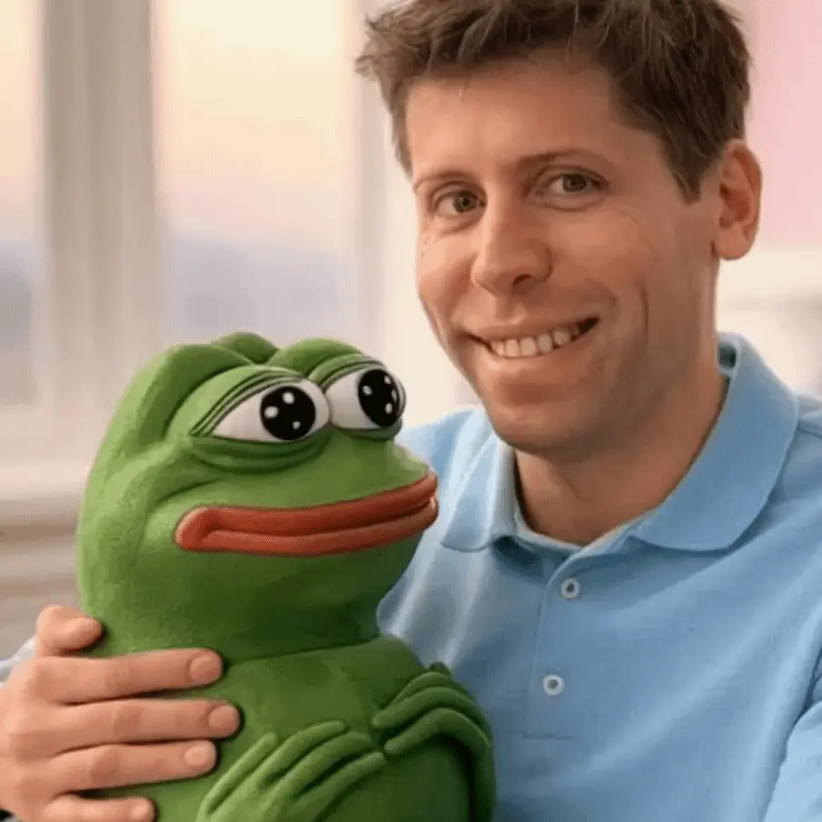 하이루오-비디오-생성