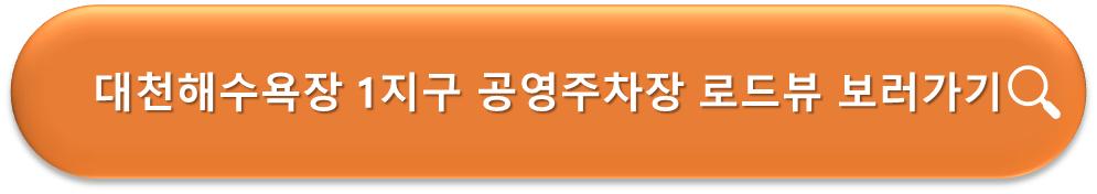 대천해수욕장 1지구 공영주차장 로드뷰
