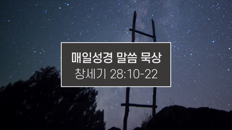 썸네일-밤하늘에-높이-세워진-사다리