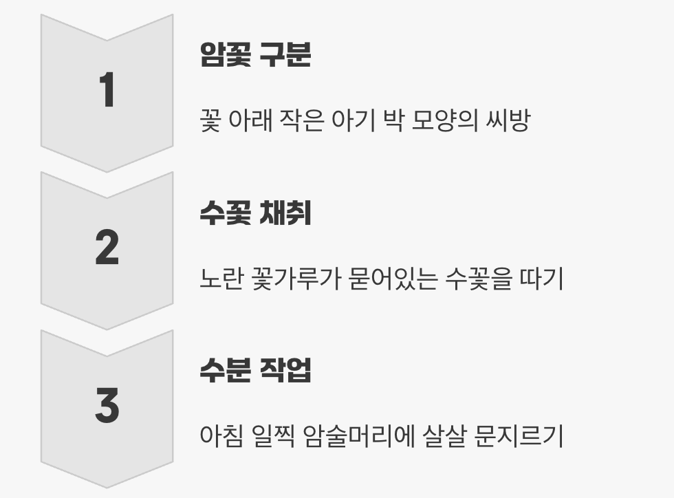 꽃은 피는데 열매가 안 열려요