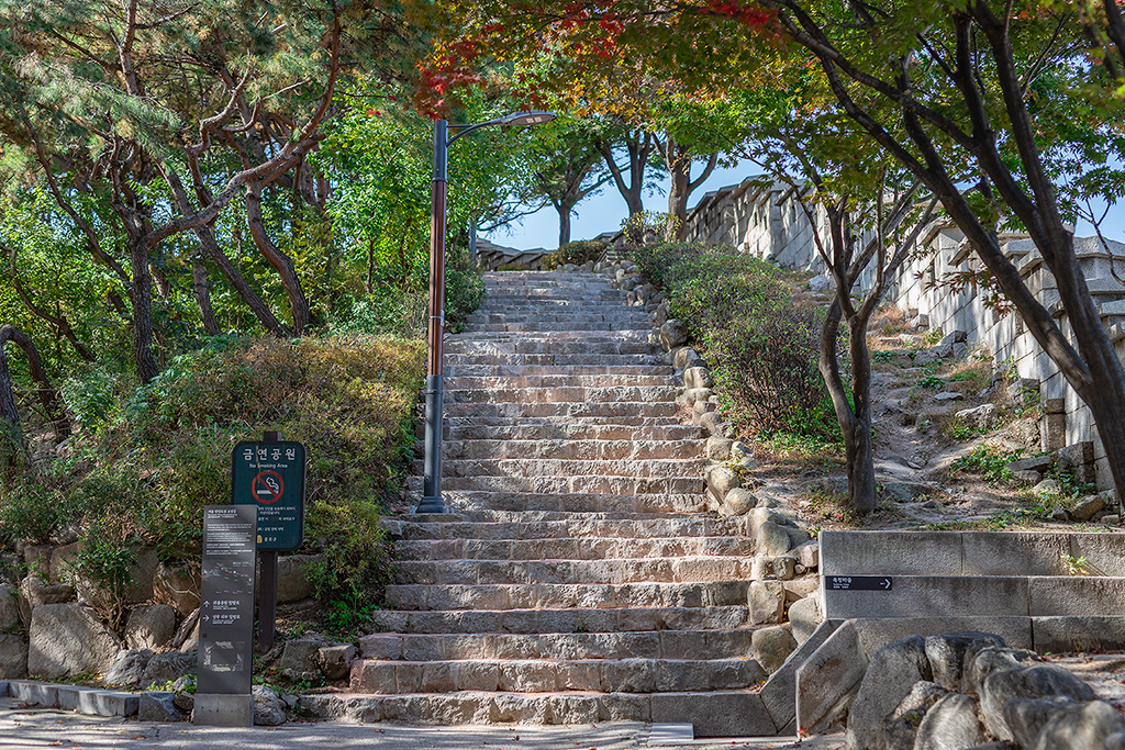 혜화문
성북동
한양도성길
백악구간
서울여행
서울단풍
가을단풍
단풍
성벽
와룡공원