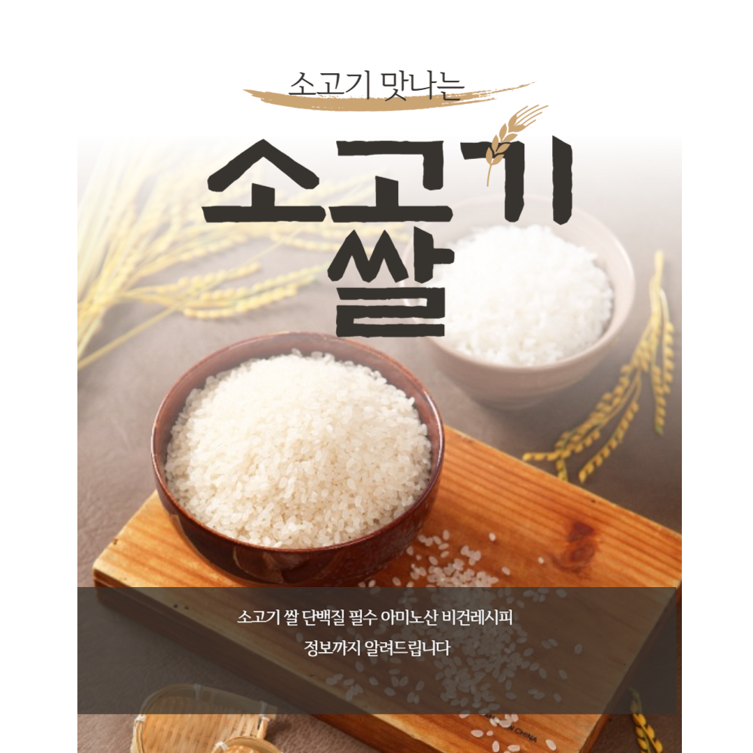 소고기 쌀