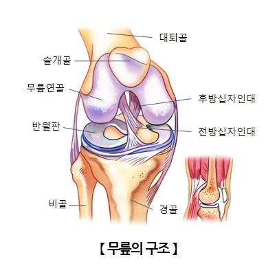 관절경수술 후 물리치료 운동 가이드