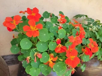 좋은글과 좋은음악이 있는곳_7