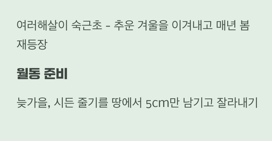 한번 심으면 매년 만나는 친구