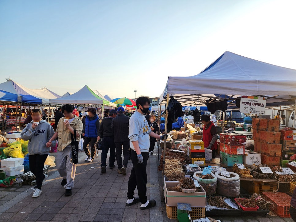 모란시장 장날·영업일 완벽 정리 ❘ 날짜·시간·위치·교통 안내