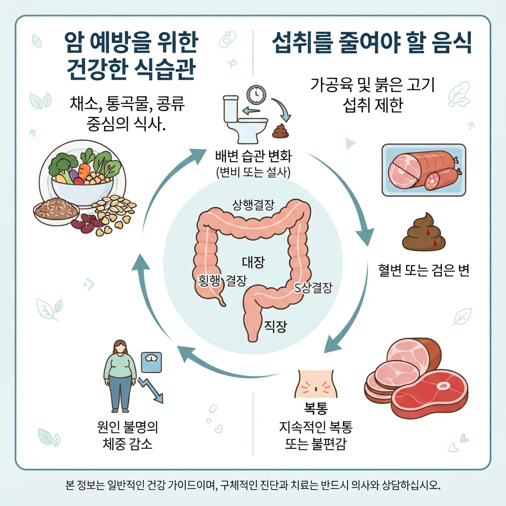 대장암 증상과 식생활 관리 및 검진의 중요성을 설명하는 의료 인포그래픽
