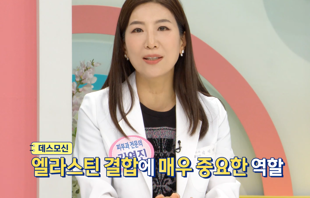 말 엘라스틴 효능