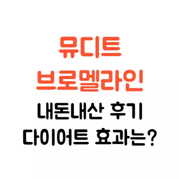 뮤디트 브로멜라인 내돈내산 후기, 다이어트 효과는