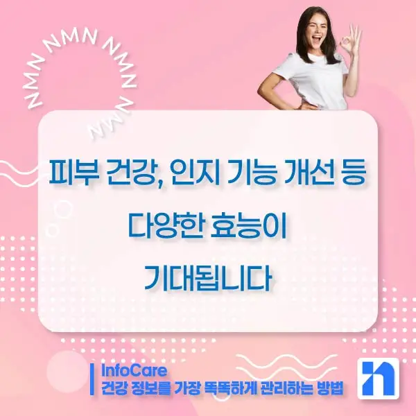NMN 효능 효과 복용법