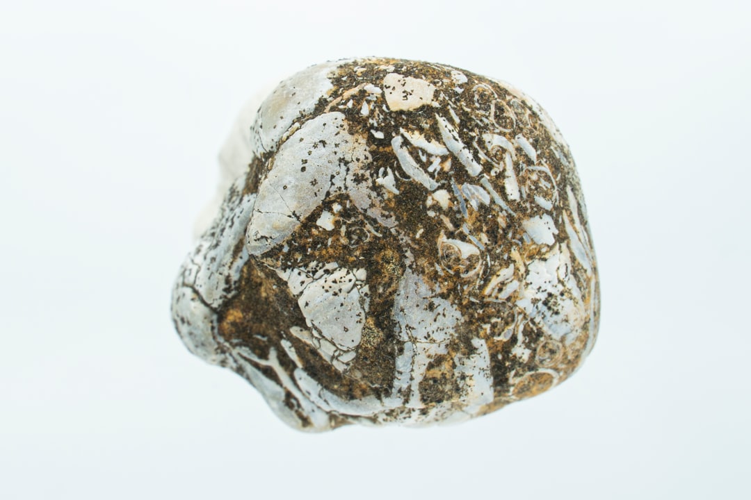 Paleolithic