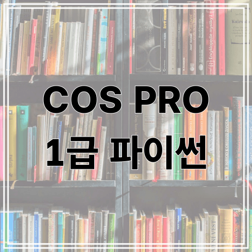 COS PRO 1급 파이썬