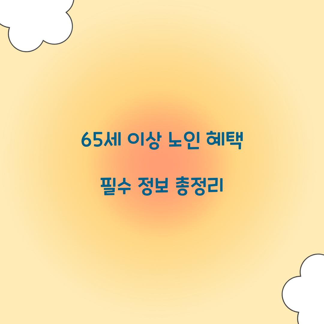 65세 이상 노인 혜택