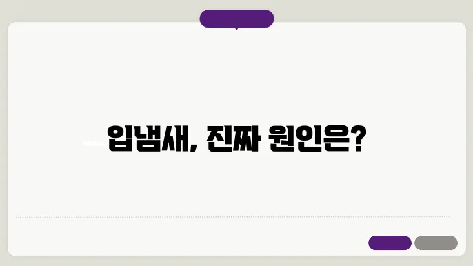 흡연과 음주의 영향으로 발생하는 입냄새