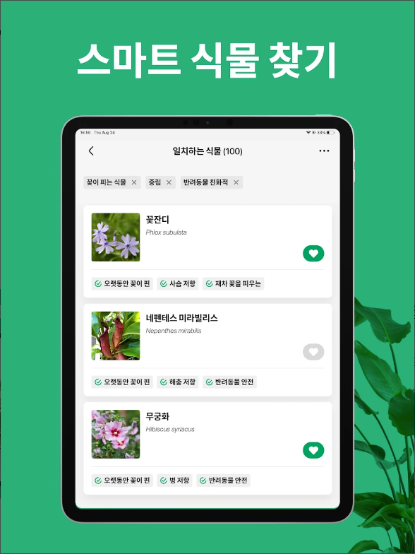 꽃 이름 찾기 어플, 사진 이미지로 꽃 찾고 검색하기