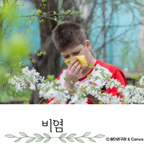 가정용 비염 치료기 추천 치료방법