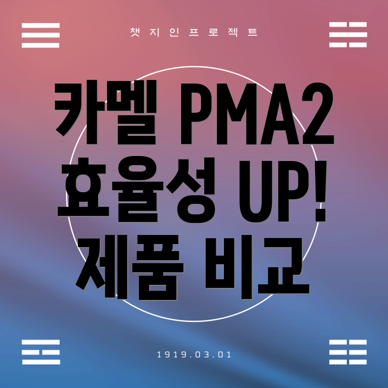 카멜PMA2효율적인사용성을위한선택가이드5가지제품비교분석