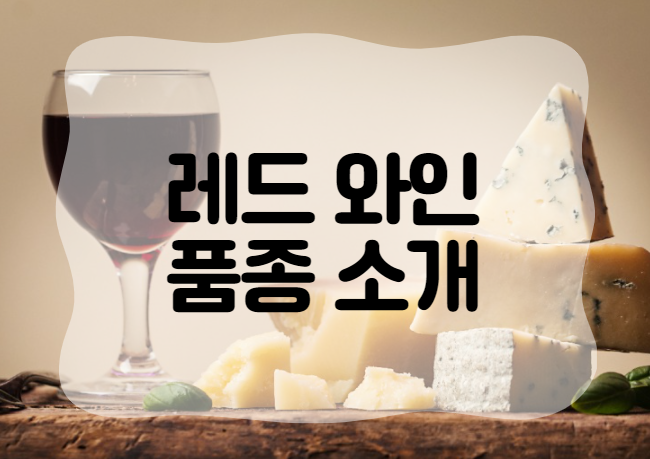 레드-와인-대표-품종-소개-대문