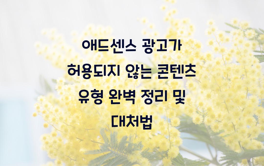 애드센스 광고가 허용되지 않는 콘텐츠 유형 완벽 정리