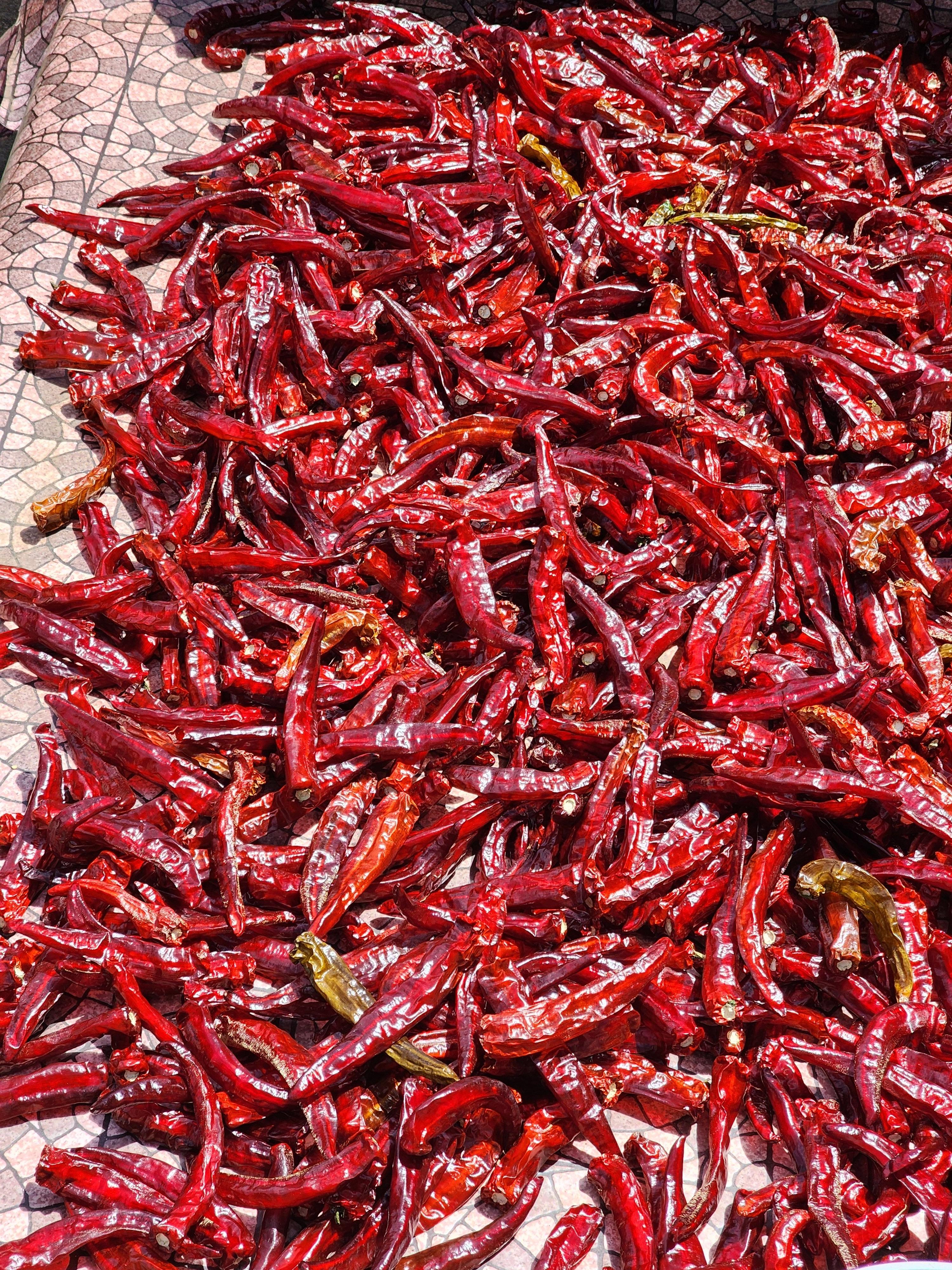 Alt 속성 문제 해결 설명 이미지