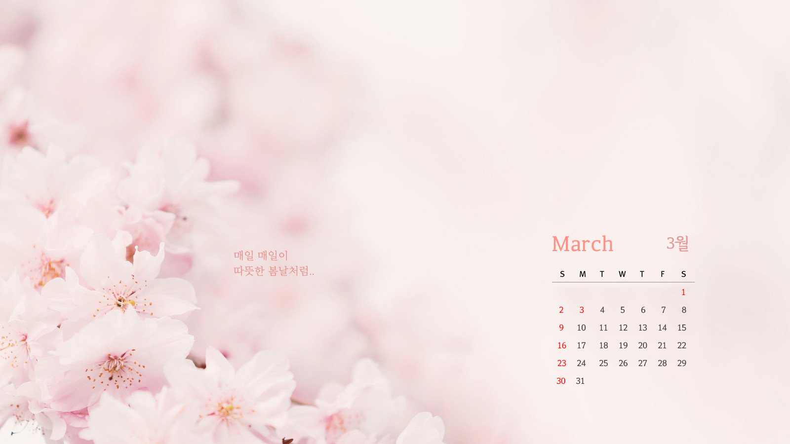 25년 3월 달력 2025년 3월달력 이미지 프린트 출력 인쇄 폰 배경화면 PC 바탕화면 무료 다운로드3