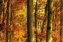 소상공인 50만원 크레딧 지원금! 신청방법 총정리