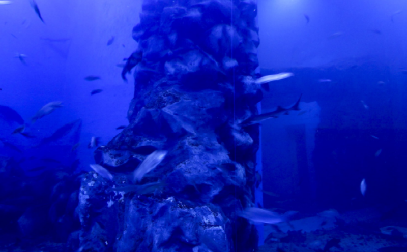 단양 아쿠아리움