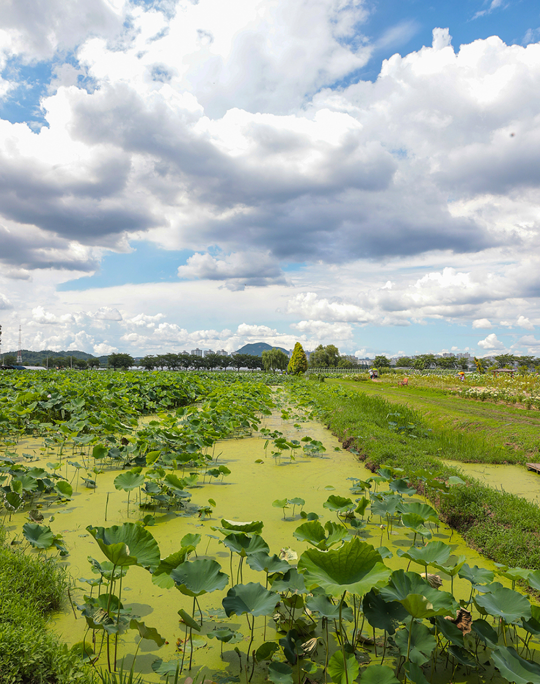 시흥 가볼만한곳 베스트10