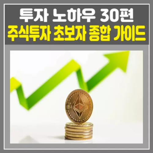 주식하는 법 초보자를 위한 종합 가이드 - 30편으로 완성하는 투자 노하우