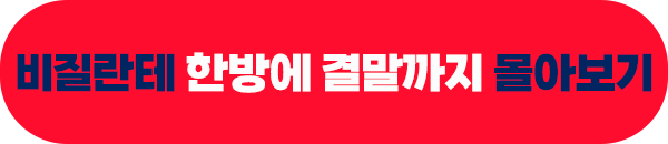 비질란테 결말까지 한방에 줄거리 몰아보기