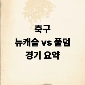 뉴캐슬 vs 풀덤