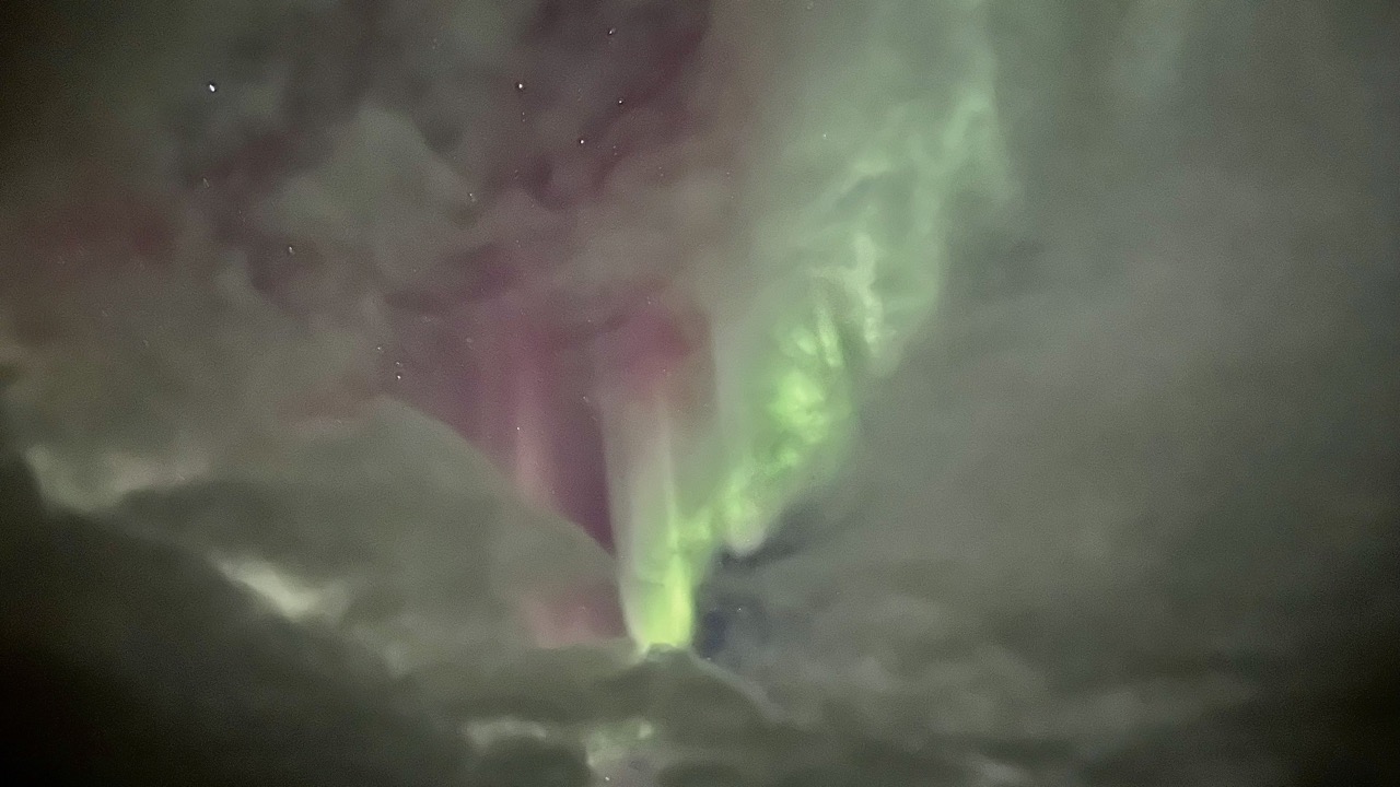 무려 보기 힘들다는 댄싱 오로라.