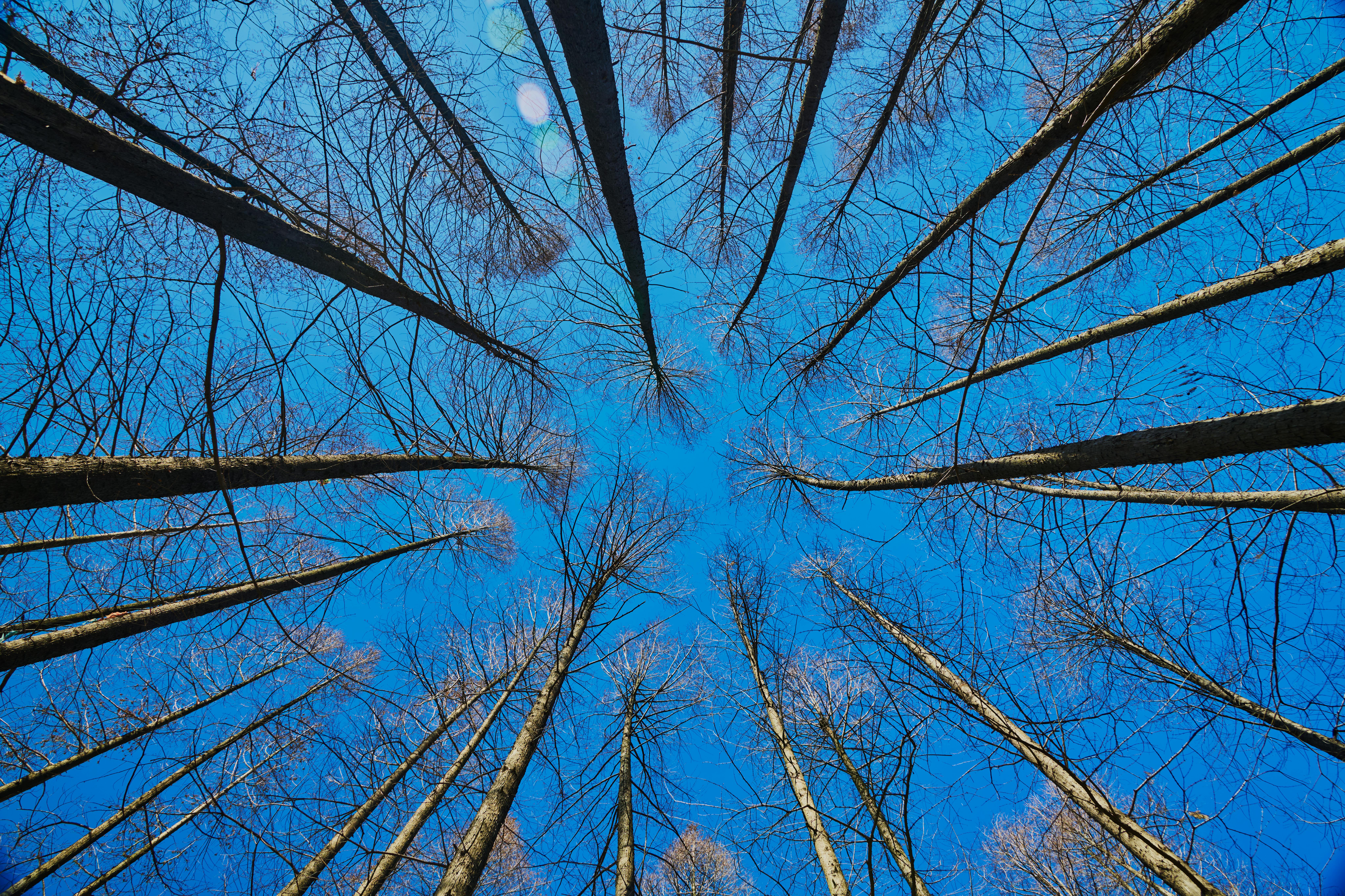 거대한 괴물에게 뒤쫓기는 장면을 상징하는 이미지