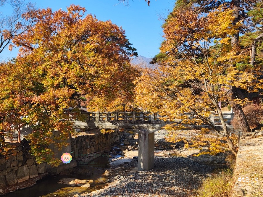 울산 경남 단풍 명소 2026