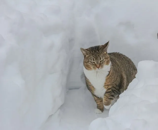 2025 사랑온난방비 홈페이지 신청&amp;#44; 신청자격&amp;#44;지원금&amp;#44;제출서류
