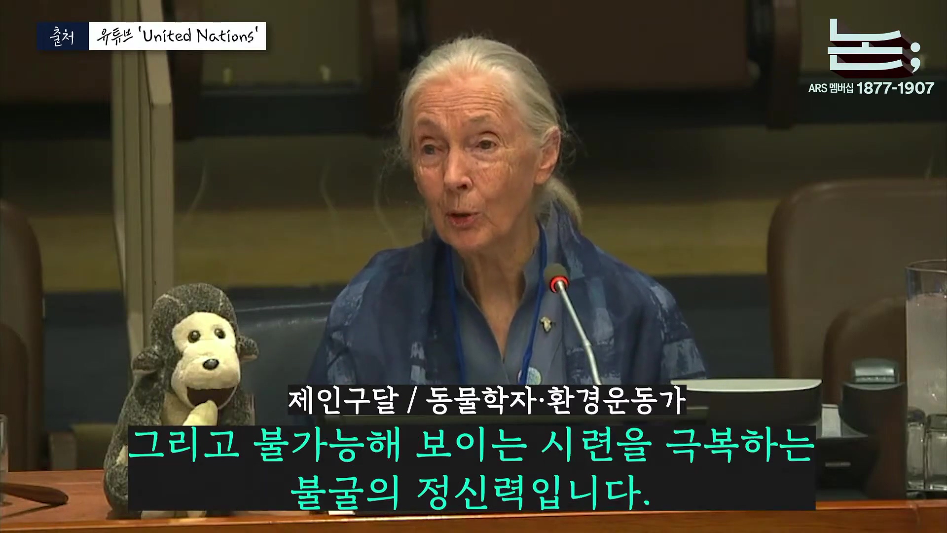 [정준희의 논] '제국의 위안부' 박유하와 '침팬지의 어머니' 제인 구달ㅣ2025년 10월 2일 목요일.mp4_20251006_195629.437.jpg