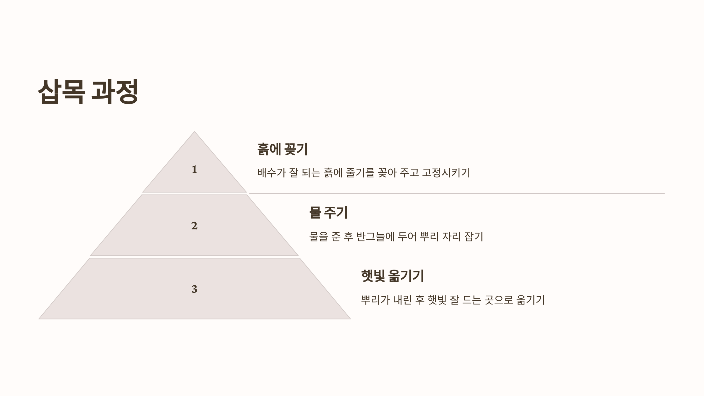 제라늄과 관련된 사진입니다.
