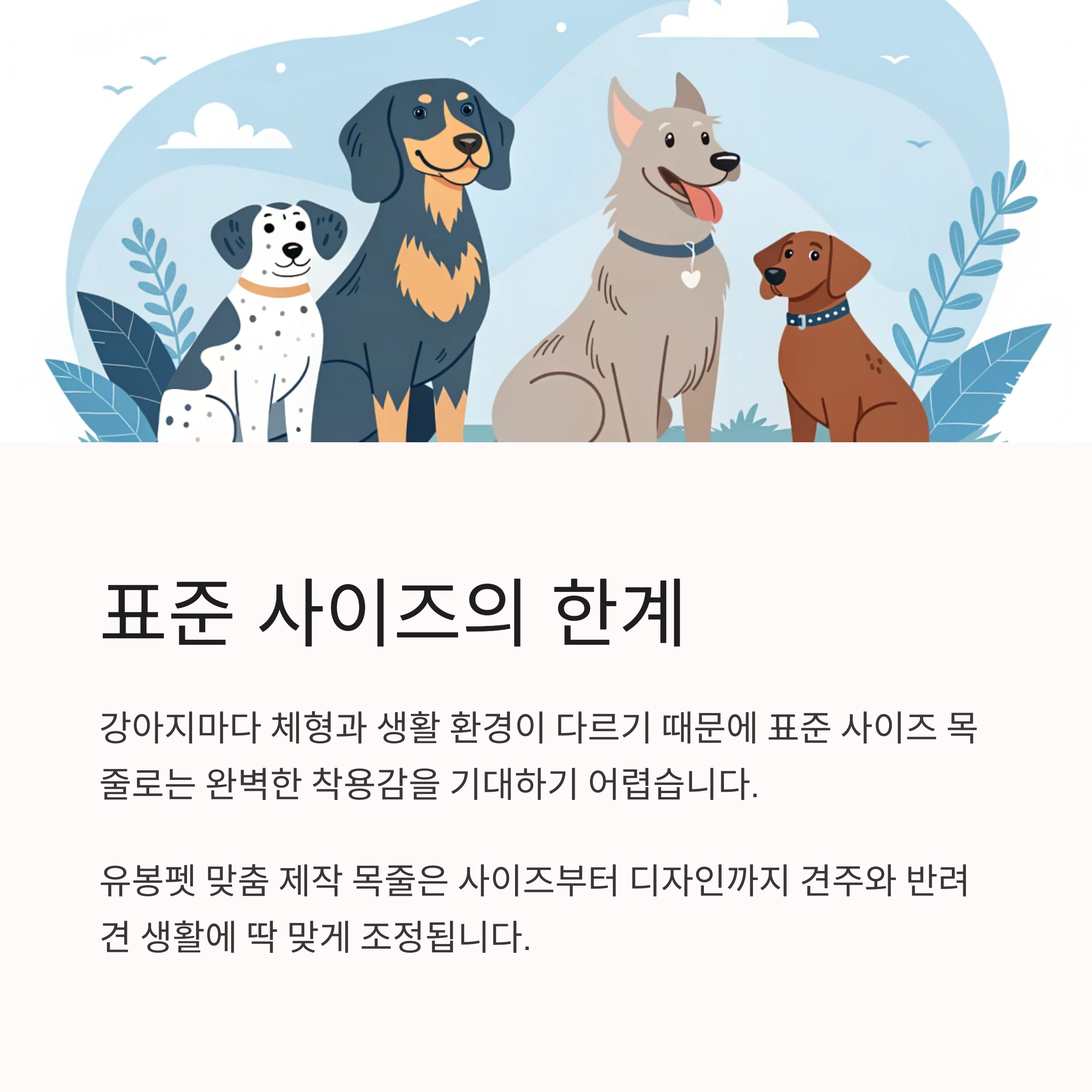 표준 사이즈의 한계