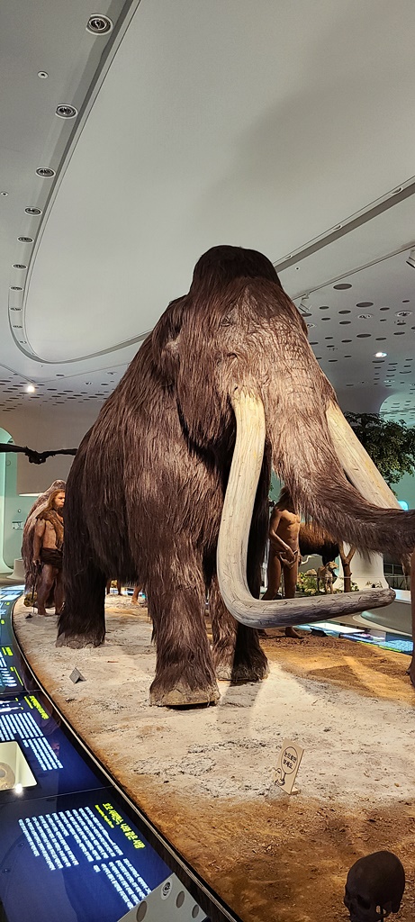 연천-가볼만한곳